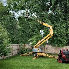  Grand Junction, CO Tree Services Pros